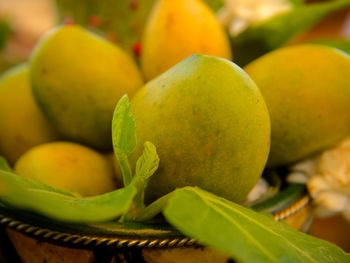 Close-up of fruit