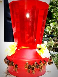 Close up of red umbrella