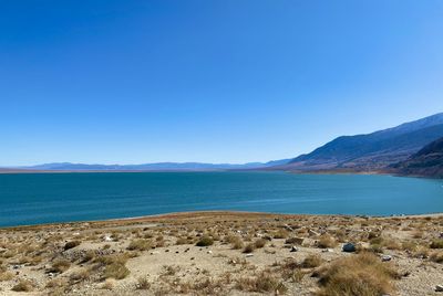 Scenic view of sea against clear blue sky