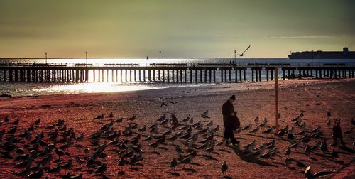 Man on beach against sky during sunset