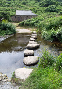 Stones in garden by lake