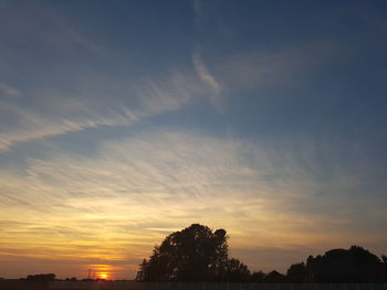 Silhouette of trees at sunset