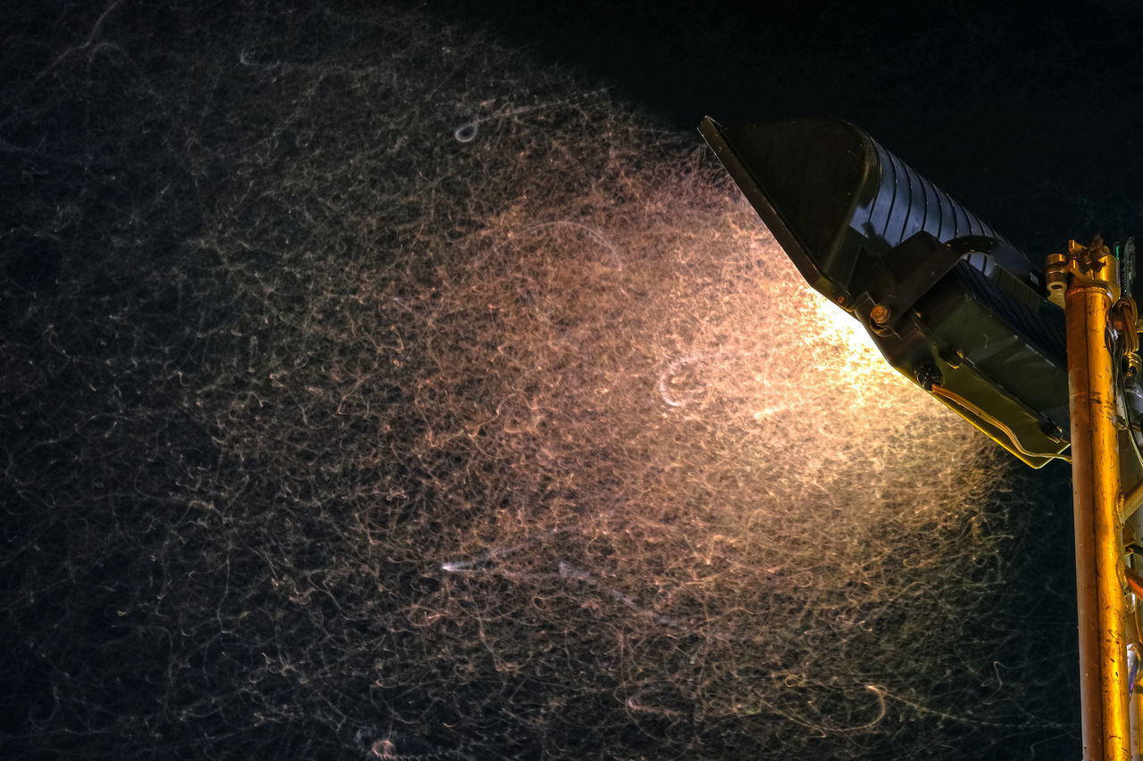 LOW ANGLE VIEW OF ILLUMINATED STREET LIGHT AGAINST SKY AT NIGHT