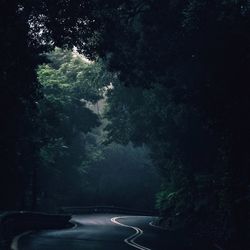 Road passing through trees