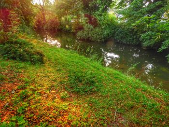 Scenic view of lake