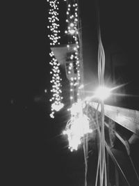 Sun shining through trees