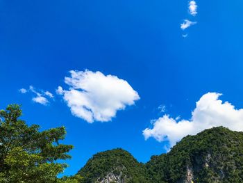 Low angle view of trees against blue sky