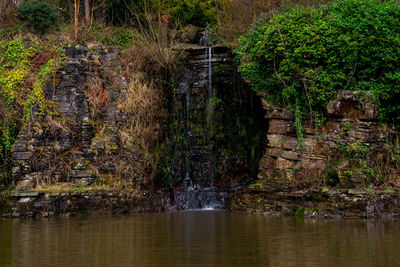 Japanese gardens at rivington 