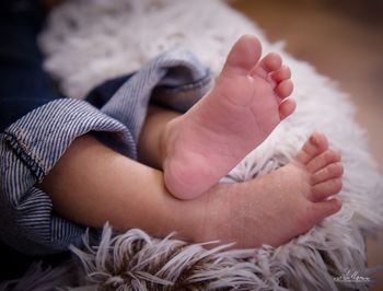 Low section of baby lying on bed