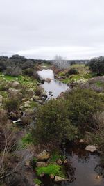 Scenic view of river amidst trees against sky