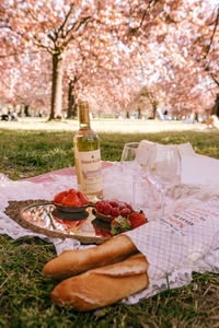 View of drink on table