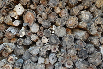 Full frame shot of logs in forest