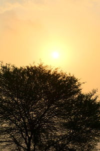 Low angle view of silhouette trees against sky during sunset