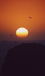 Silhouette bird flying against orange sky