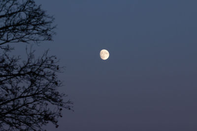 Low angle view of moon against clear sky at night