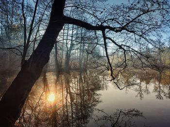 Scenic view of lake in forest during winter