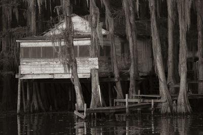 Wooden pier on lake in forest