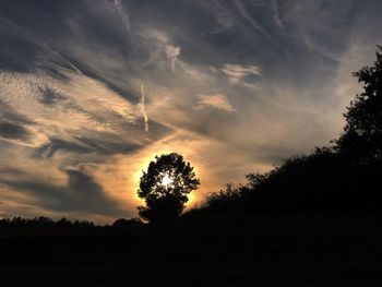 Silhouette trees on field against sky during sunset