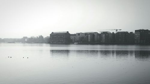 View of birds in river