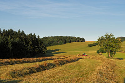 Scenic view of agricultural field against sky