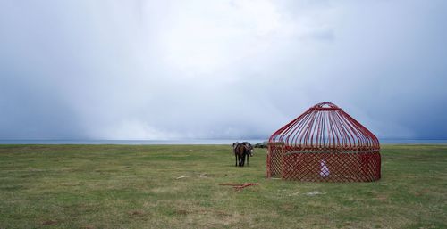 View of a horse on field