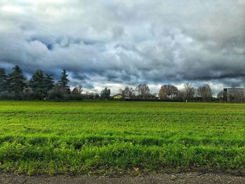 Scenic view of agricultural field against sky