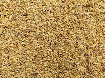 Full frame shot of rice