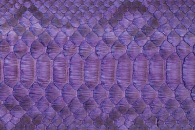 Full frame shot of multi colored paper