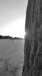 Close-up of sea against sky