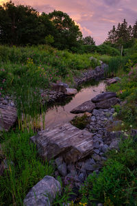 Scenic view of waterfall in forest against sky