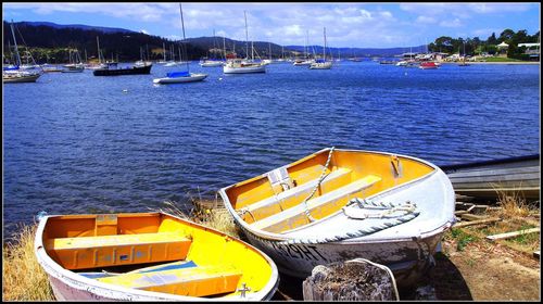 Boats moored in sea