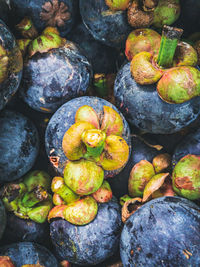 High angle view of fruits at market stall