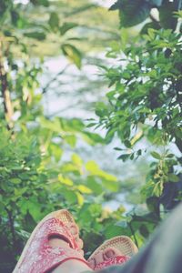 Low section of woman on tree