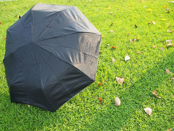 High angle view of umbrella on grassy field