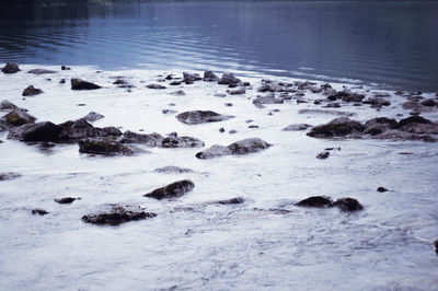 Scenic view of rocks in lake during winter