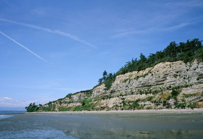 Scenic view of beach against blue sky