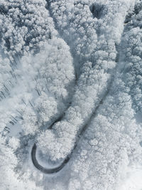 Aerial view of snow covered trees