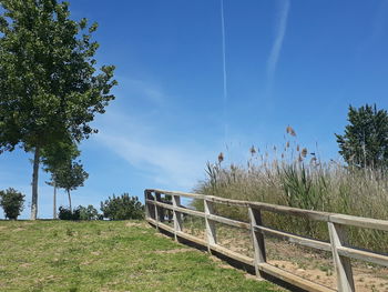 Plants growing on field against sky