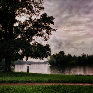 Trees on lakeshore against cloudy sky