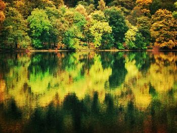 Scenic view of lake with trees in background