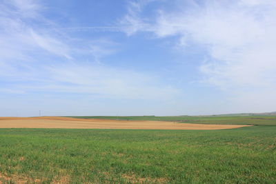 Scenic view of field against sky