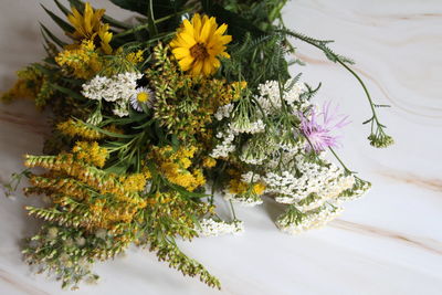 High angle view of flowering plant on table