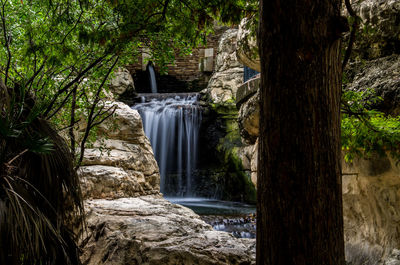 Scenic view of waterfall in forest