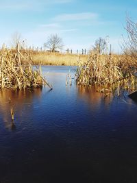 Scenic view of lake against sky