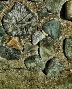 Stones in sea