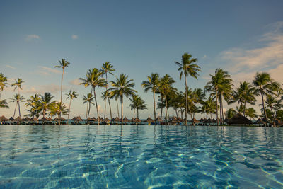 Palm trees by swimming pool against sky