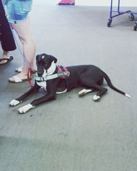 Low section of man and woman