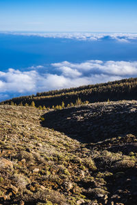 Scenic view of landscape against blue sky