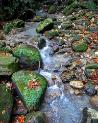 High angle view of water flowing through rocks