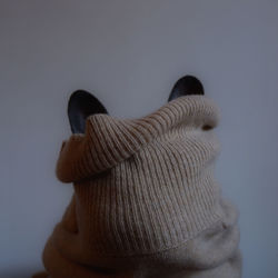 Rear view of person against white background